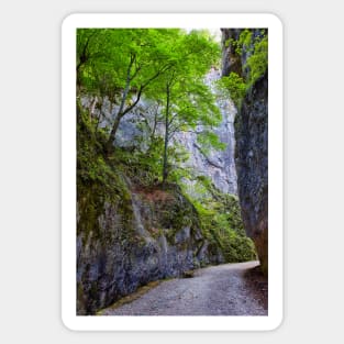 Beautiful gorge in Carpathian mountains Sticker